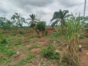4 Plots With C of O at Emene Industrial/Residential Layout