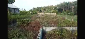 Half Plot of Land for Sell Inside Okoafo Badagry Road