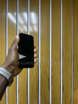 Apple iPhone 16 256 GB Black