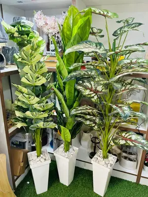 Artificial Indoor Plant - Home Glow Up With This Elegant Indoor Plant