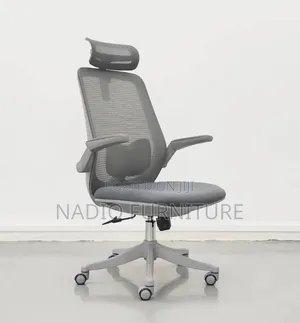 Ergonomic Office Chair
