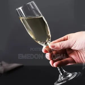 Quality Acrylic Champagne Cup