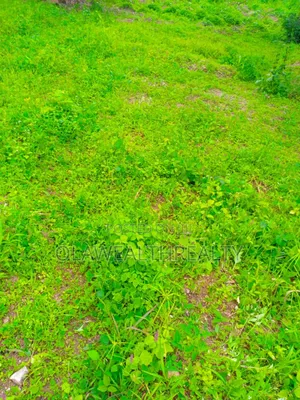 450sqm Residential Plot at Rayfield Garden City Estate, Wofun