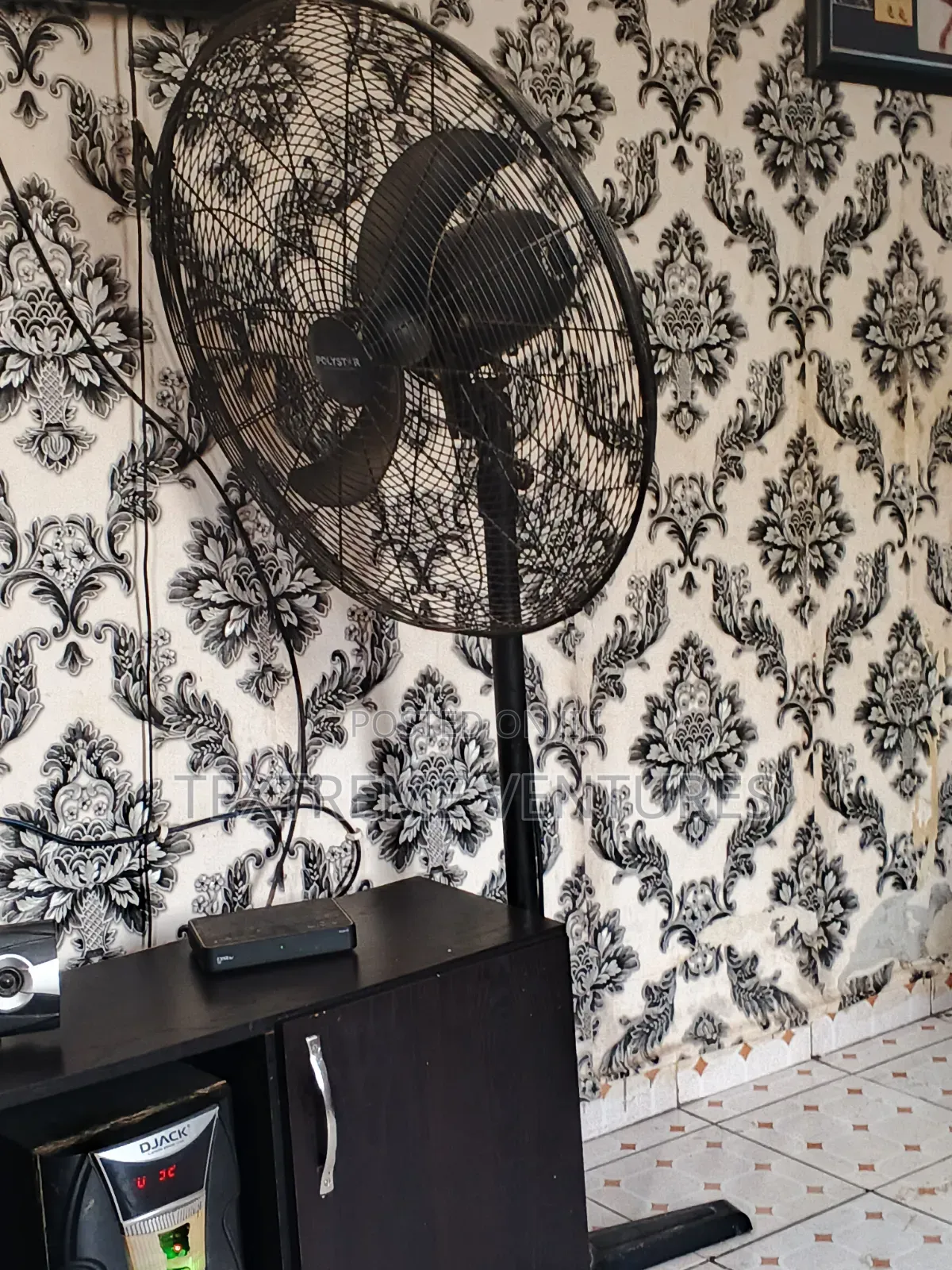 Standing Fan