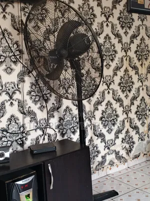 Standing Fan