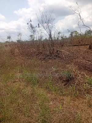 Newly Parceleted Plots of Land for Sale