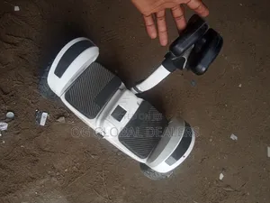Self-Balancing Electric Scooter/Hoverboard