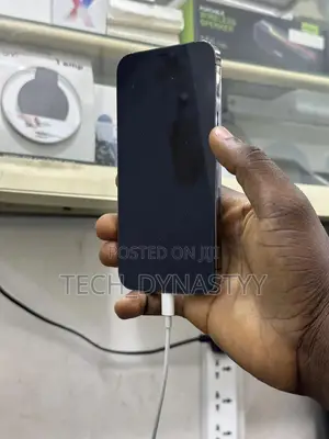 Apple iPhone 12 Pro Max 256 GB Black