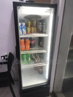 380 Liters Frigrox Industrial Freezer