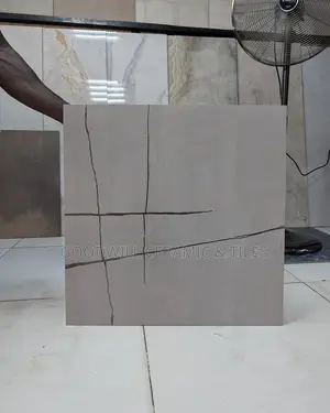 Dorado Ash 60x60cm Porcelain Glossy