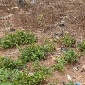 Residential Land Available for Sale
