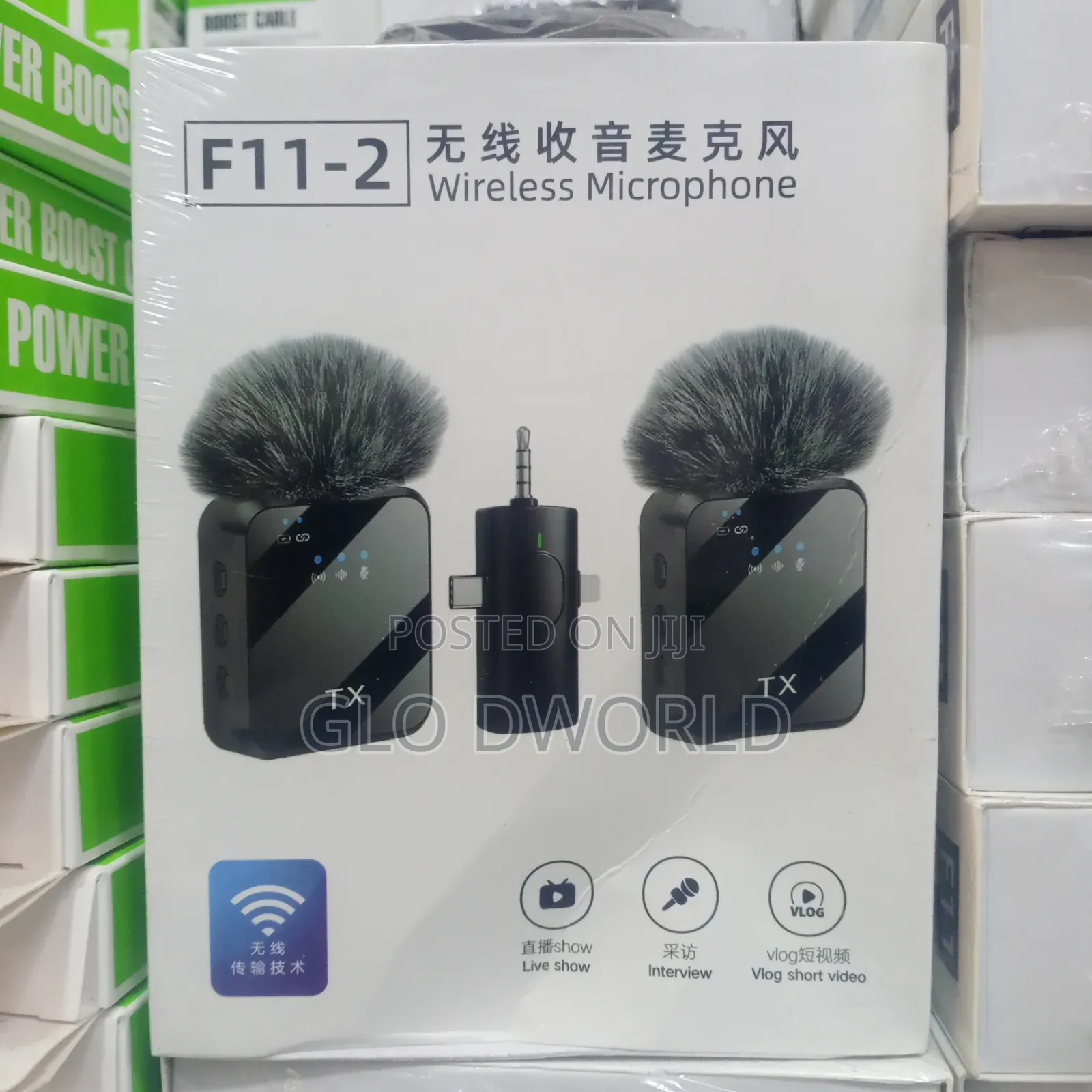 Double Wireless Microphone