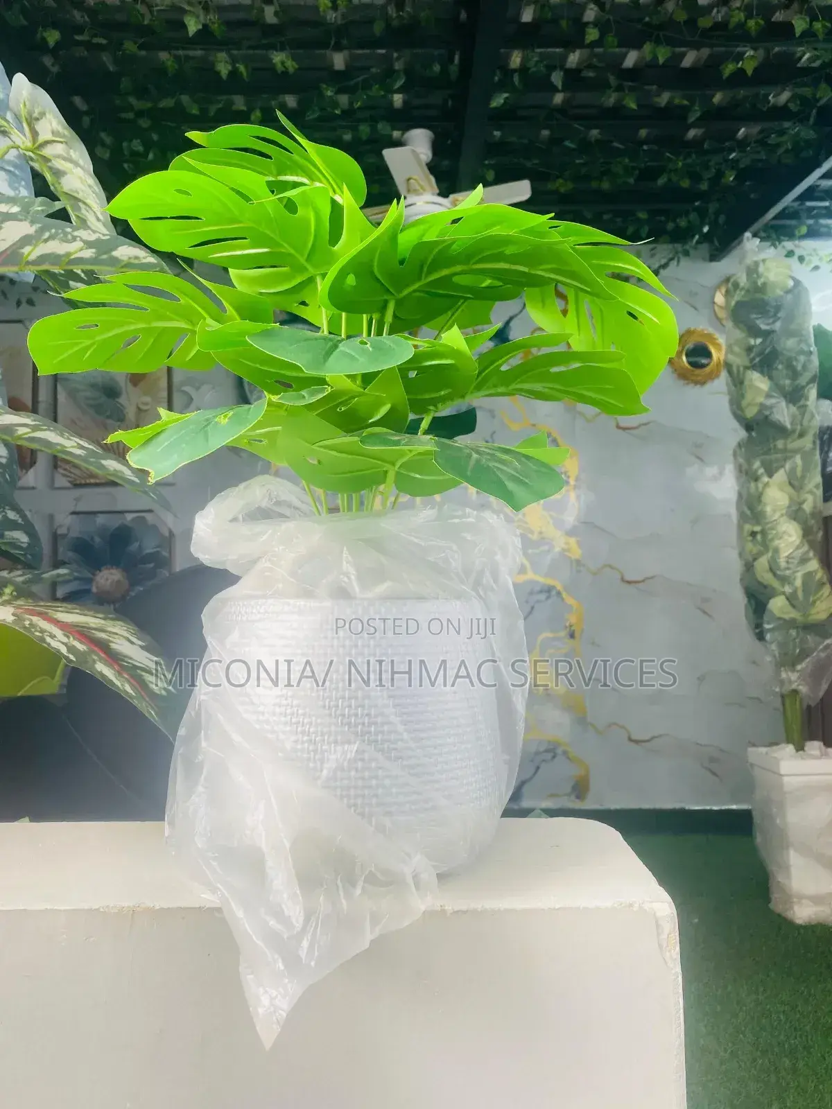 Artificial Stylish Monstera Beauty