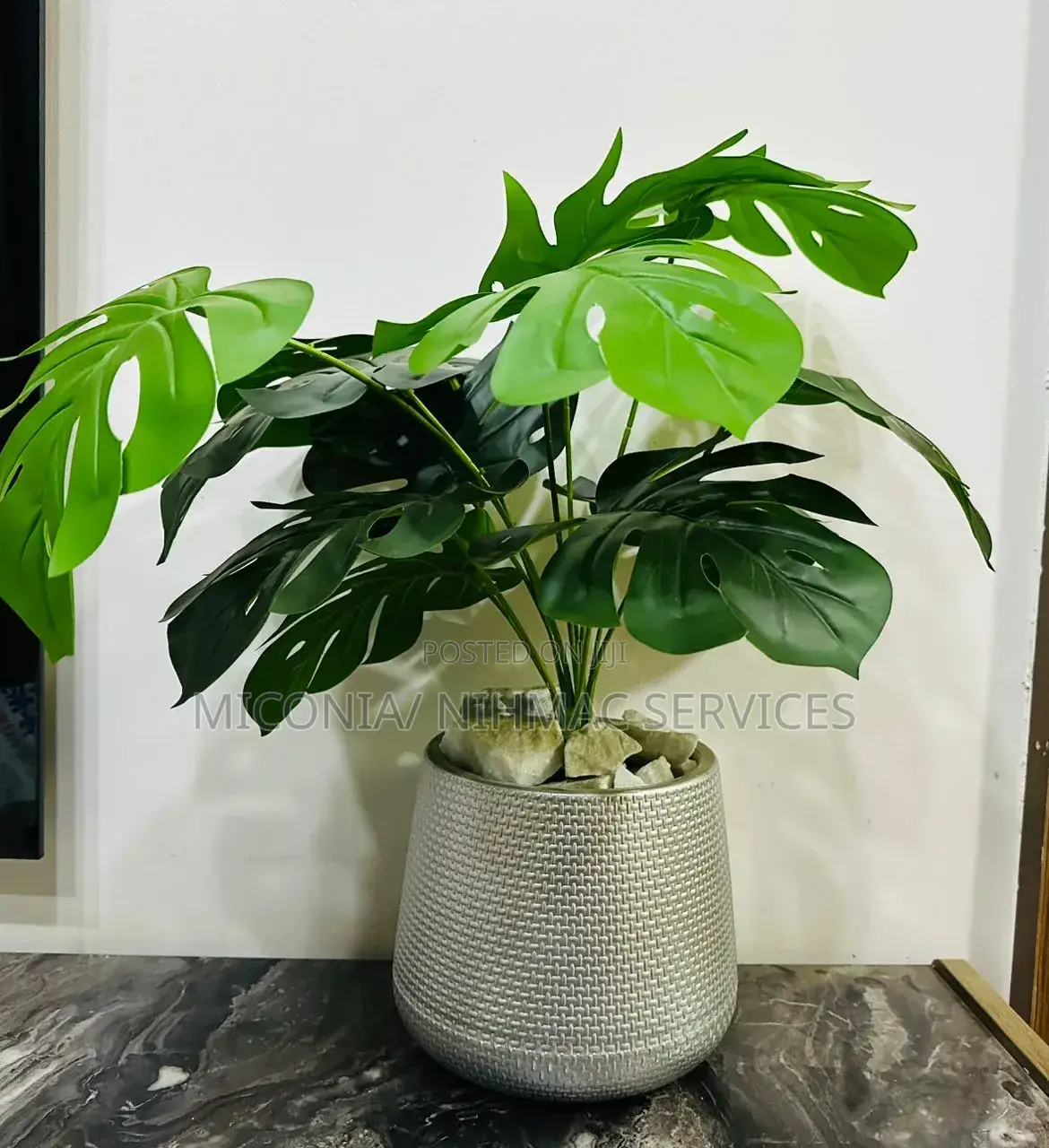 Artificial Stylish Monstera Beauty