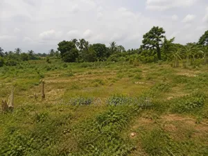 Leasing of Land