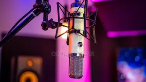 Warm Audio Wa-251