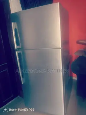 Standing Fridge
