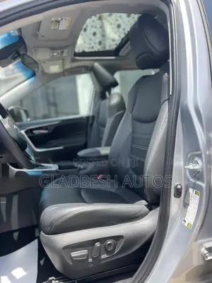 Toyota RAV4 XLE Premium AWD 2024 Silver