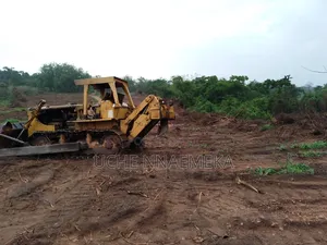 Mechanical Clearing of Land With Bulldozer