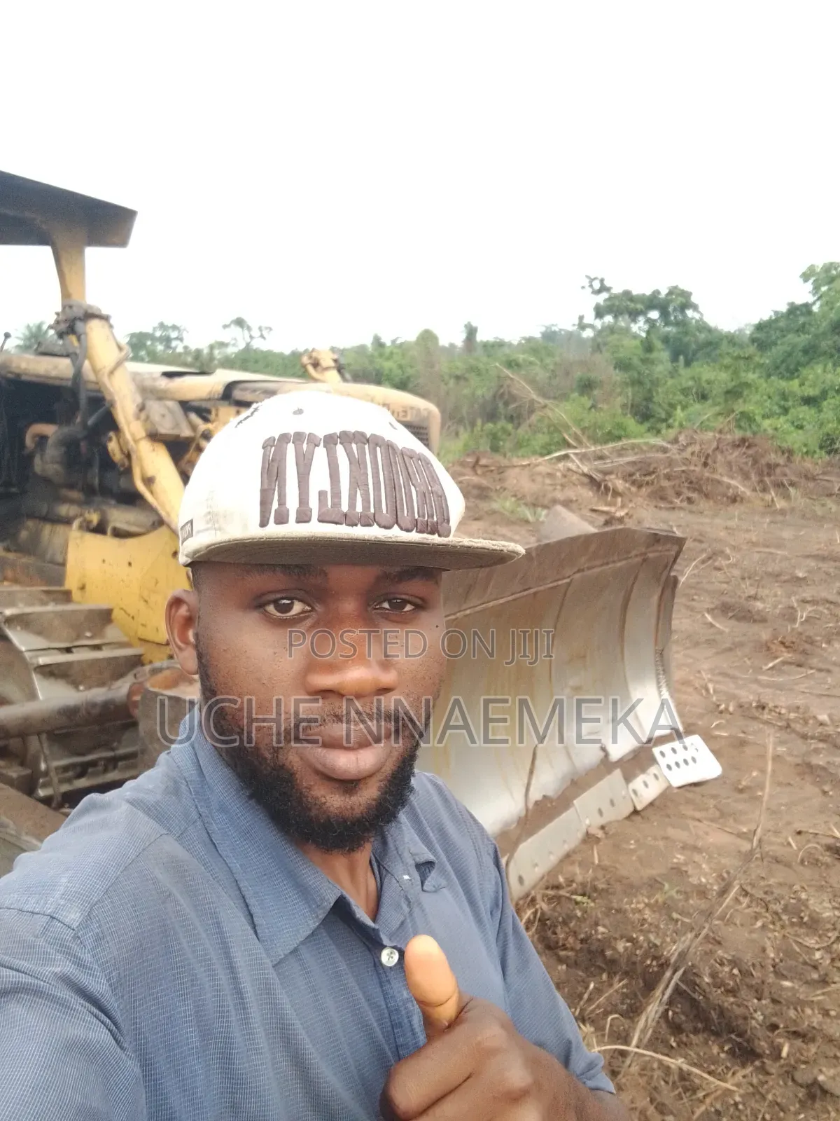 Mechanical Clearing of Land With Bulldozer