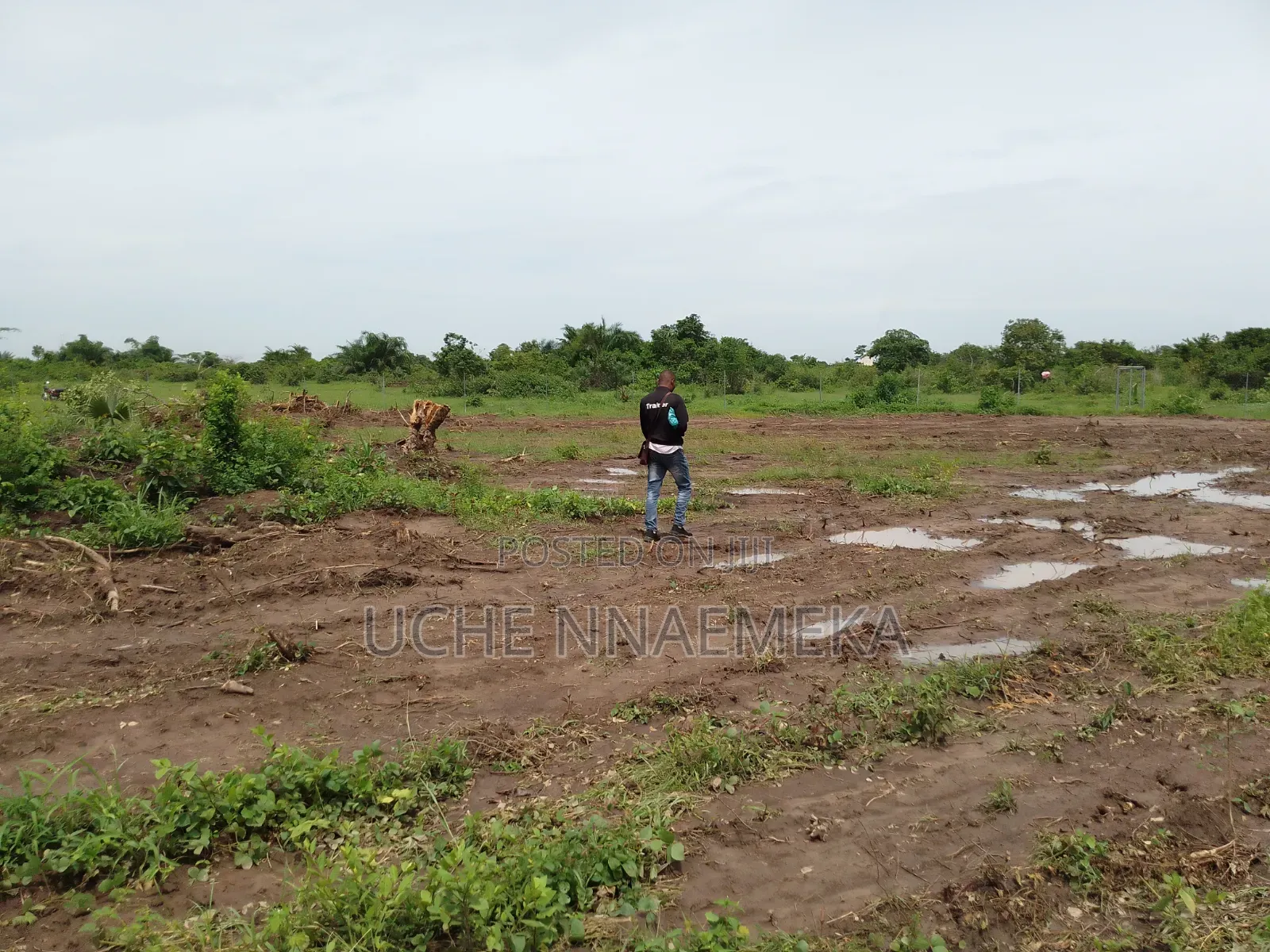 Mechanical Clearing of Land With Bulldozer