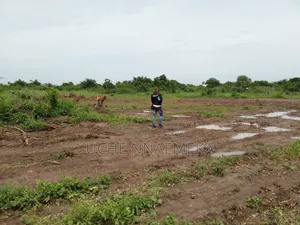 Mechanical Clearing of Land With Bulldozer