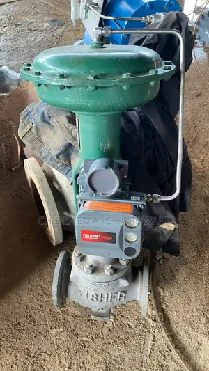 Fisher Fieldvue Digital Control Valve 3”X150(All Sizes Available)
