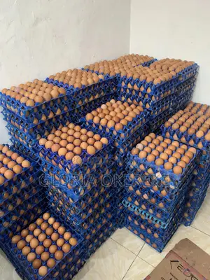 Egg Farm Depot