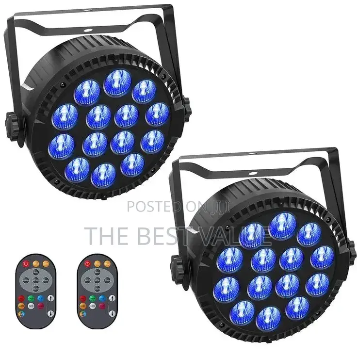 Mini Stage Light