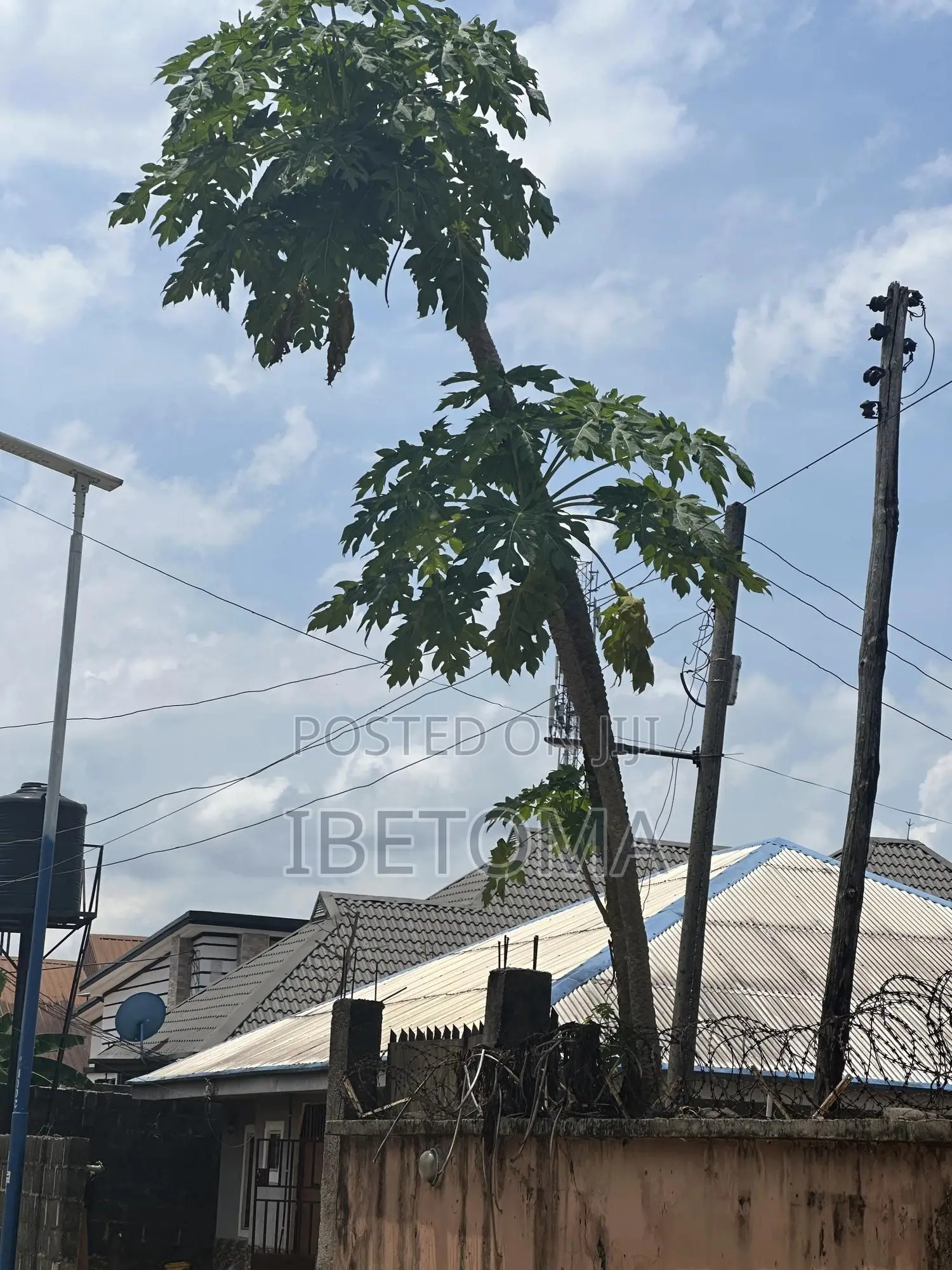 Land Property