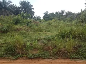 My Name Is Kelechi and I Have Land for Sell if You Are Interested Dm