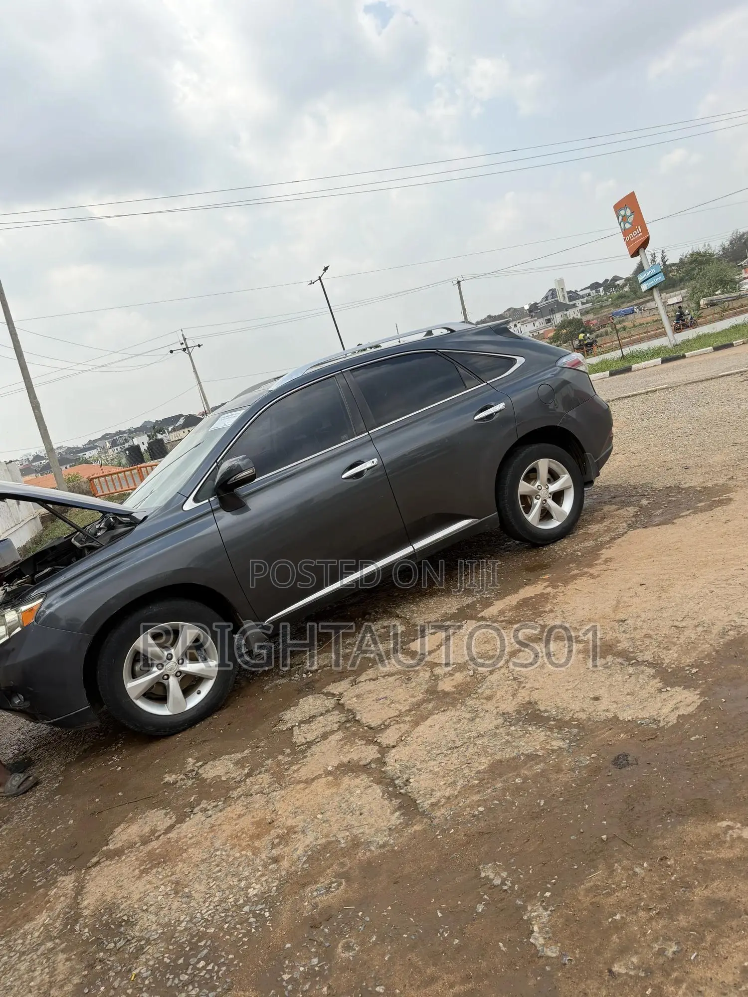 Lexus RX 350 2010 Gray