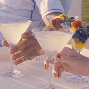 Acrylic Martini Cup