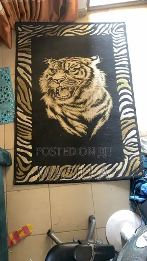 Rug in Perfect Condition Like New