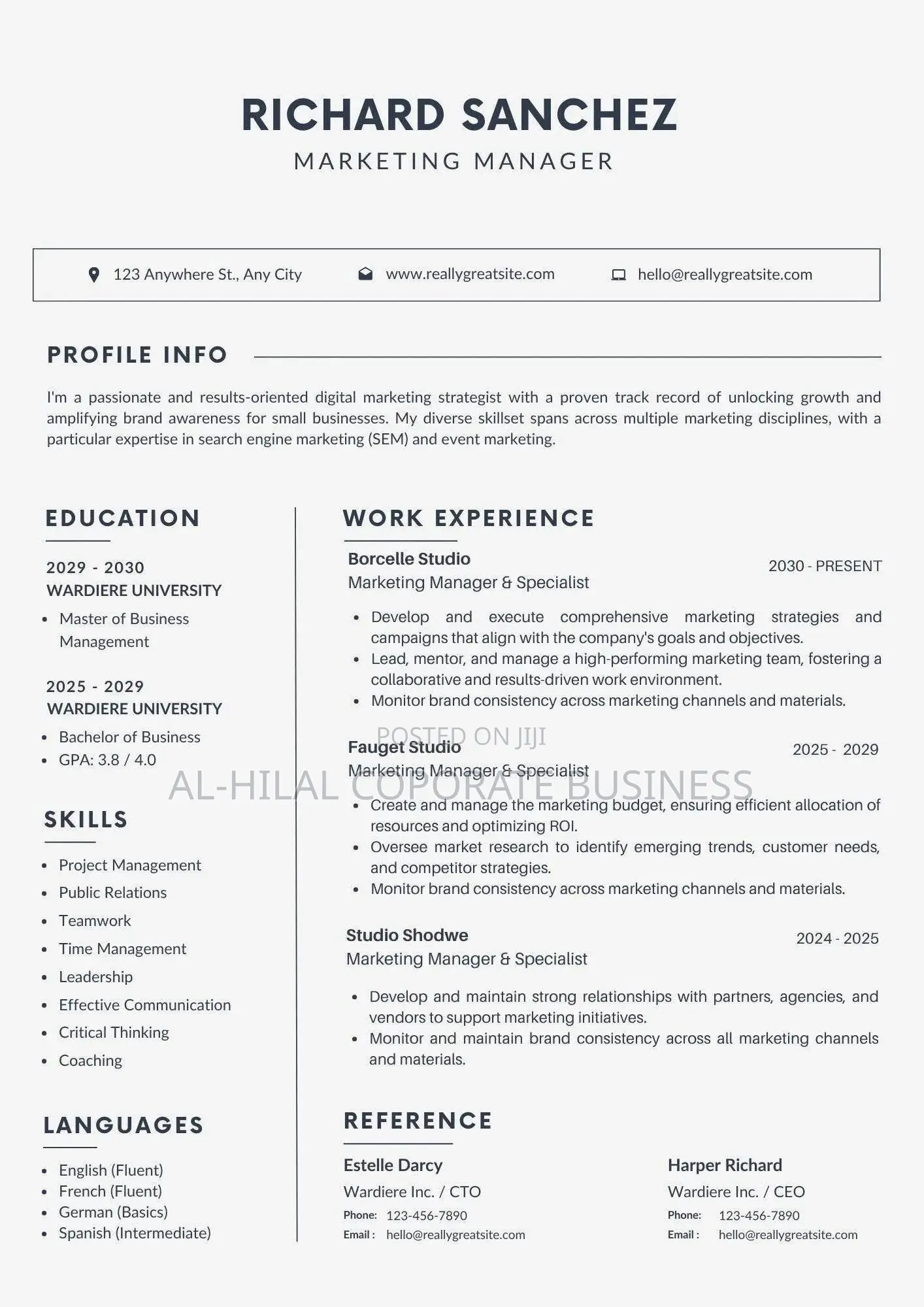 Professional Resume