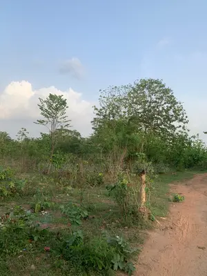 2000 Acres of Land Available for Sale at Cheaper Rate, Saved Location