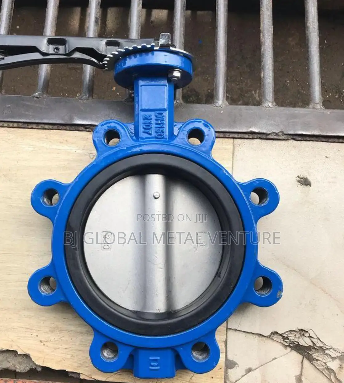 Ss Disc Butterfly Valves