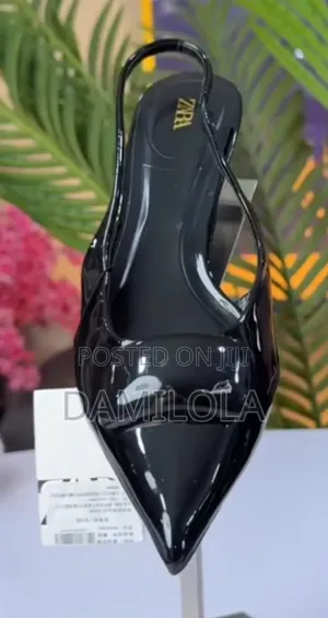 Kitten Shoe