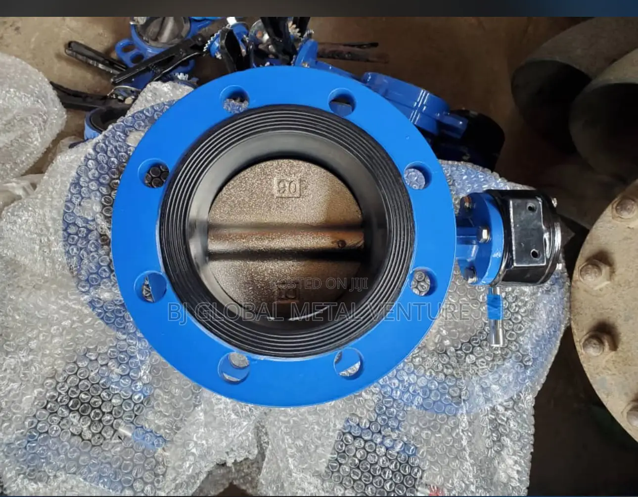 Ss Disc Non-Returnable Valves