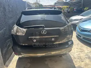 Lexus RX 330 2004 Gray