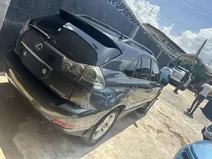Lexus RX 330 2004 Gray