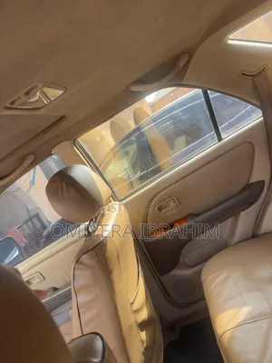 Lexus RX 2001 Brown