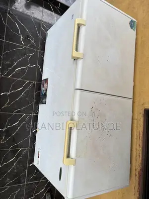 Thermocool Freezer