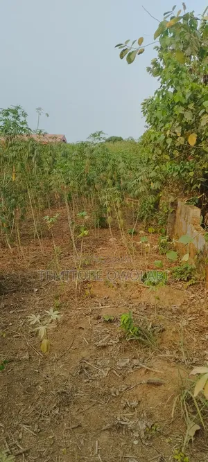 A Plot of Land Facing Main Road at Maya Ikorodu