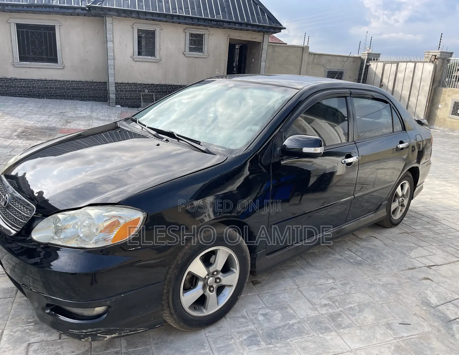 Car Charter/Hire