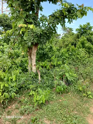 Plot of Land