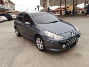 Peugeot 307 2008 Gray
