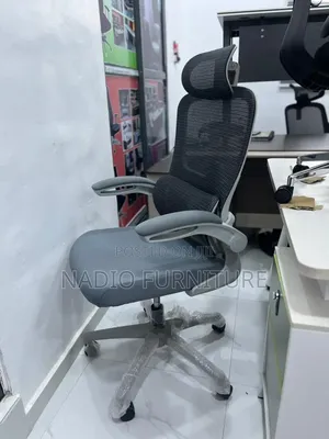 Ergonomic Office Chair
