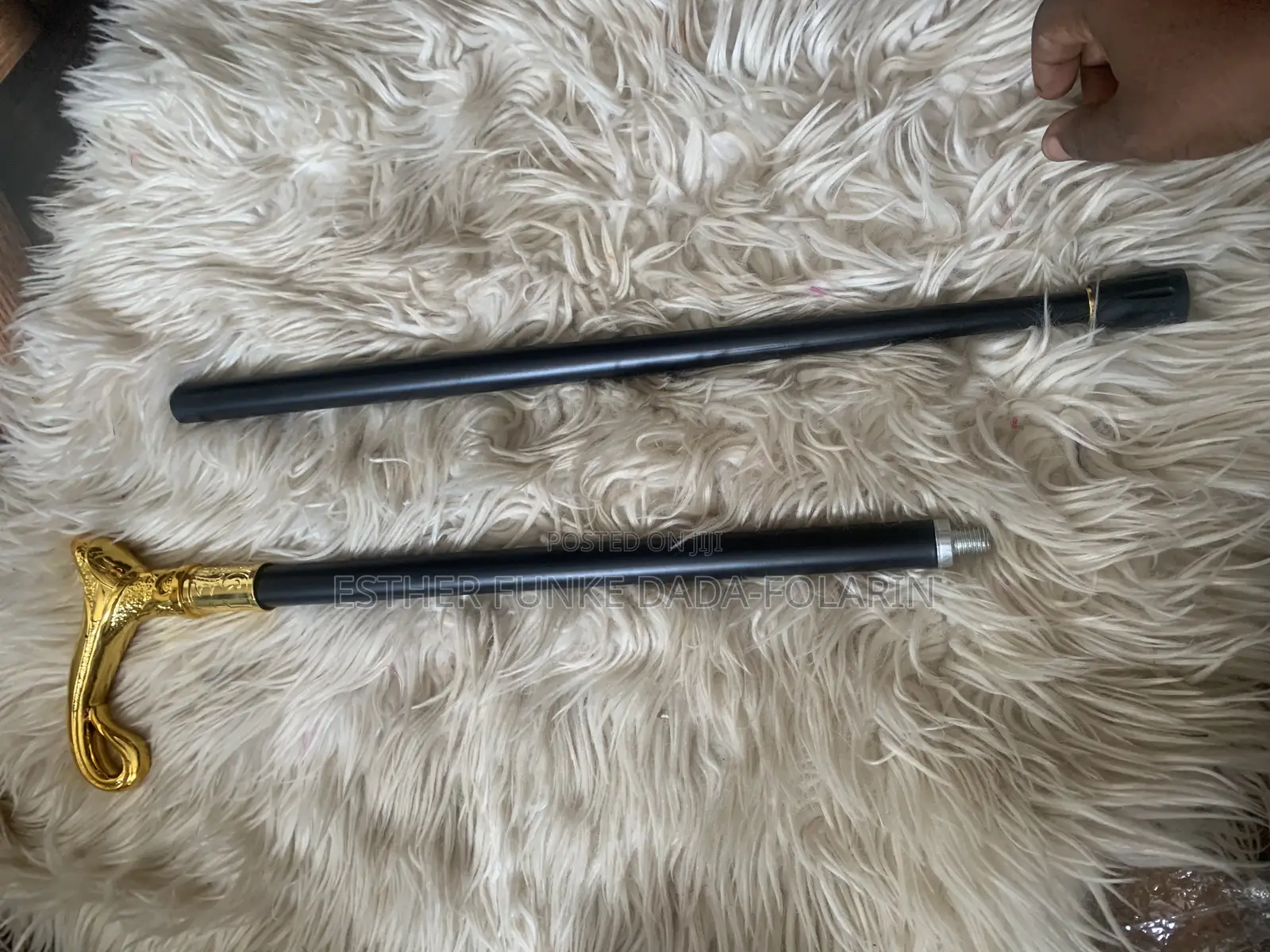 Walking Stick