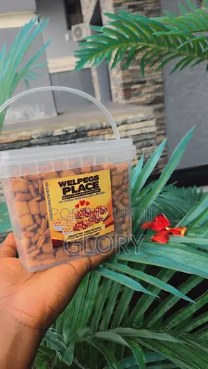 Welpeg’S Place Milky Crunchy Chin Chin